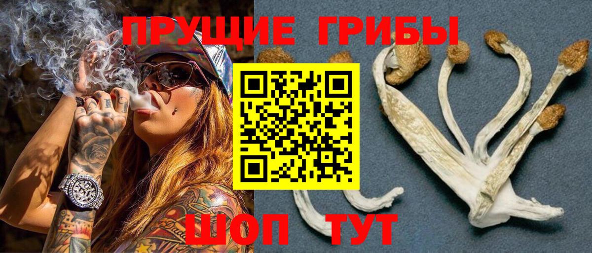 сколько стоит  Галлюциногенные грибы прущие грибы  Вход с VPN  Абинск  Галлюциногенные грибы Cubensis 